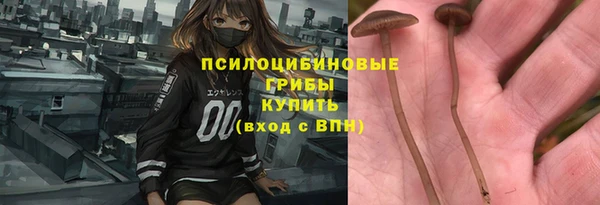 винт Ачинск