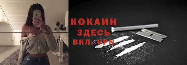 бошки Дмитровск