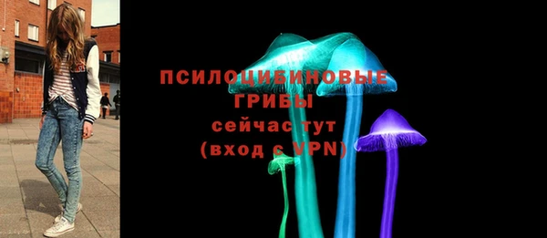 молекула духа Магадан