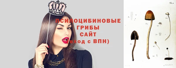 бошки Дмитровск