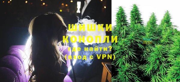 молекула духа Магадан