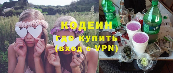 твердый Дмитров