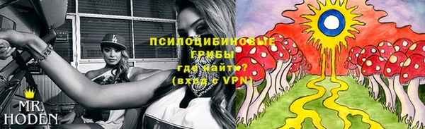 твердый Дмитров