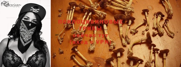 молекула духа Магадан