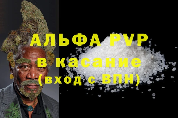 молекула духа Магадан